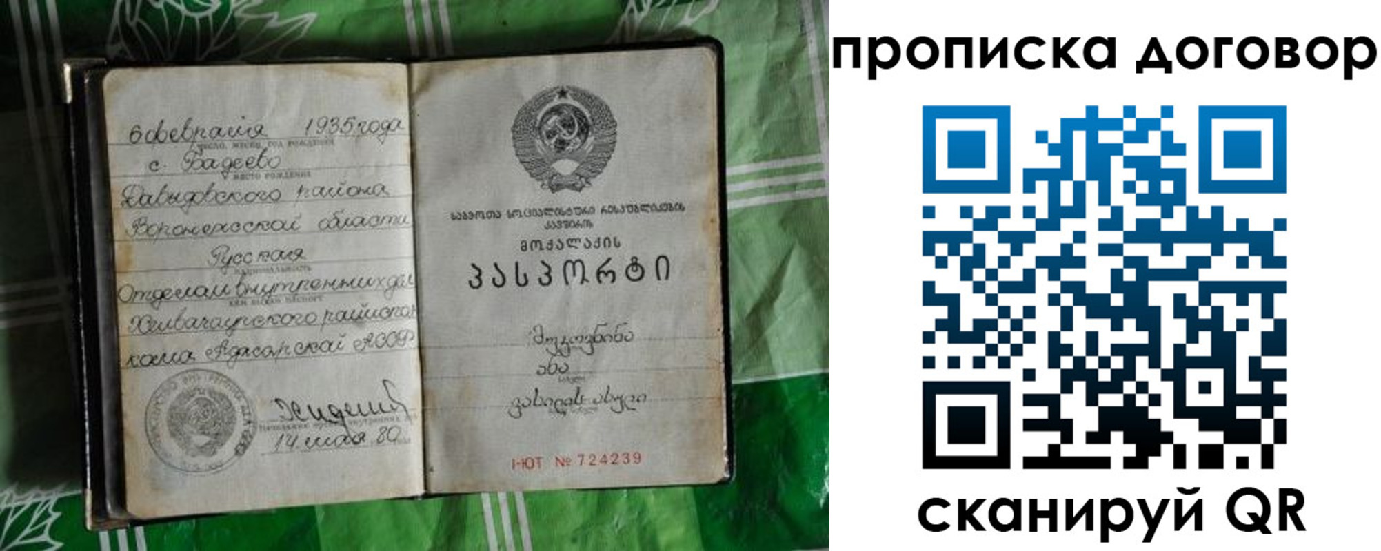 прописка в Судогде